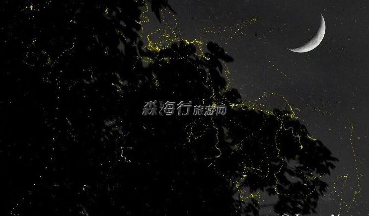 萤火虫夜景