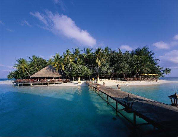 马尔代夫伊瑚鲁悦椿度假村 Angsana Ihuru, Maldives ...
